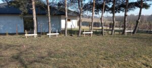 tyczenie budynku Osiek, wyznaczenie budynku Osiek, geodeta Osiek